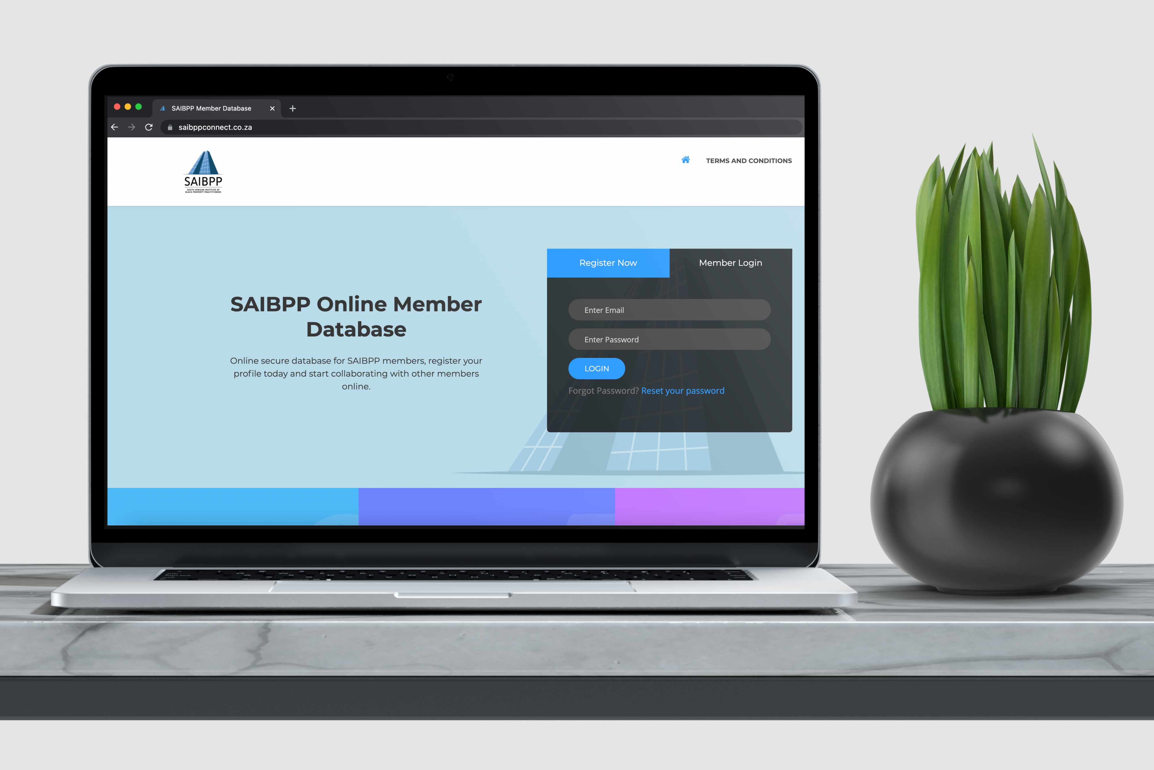 SAIBPP Member Database